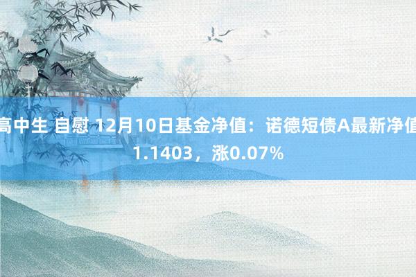 高中生 自慰 12月10日基金净值：诺德短债A最新净值1.1403，涨0.07%