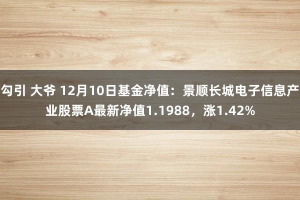 勾引 大爷 12月10日基金净值：景顺长城电子信息产业股票A最新净值1.1988，涨1.42%