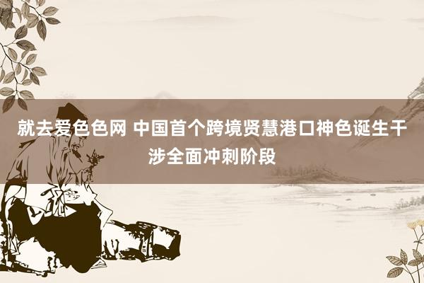 就去爱色色网 中国首个跨境贤慧港口神色诞生干涉全面冲刺阶段