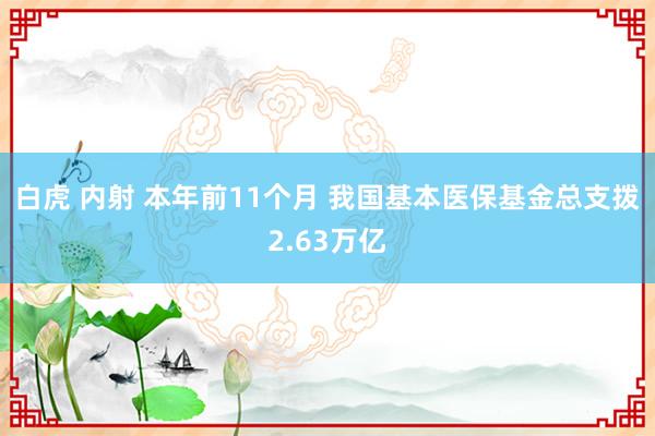 白虎 内射 本年前11个月 我国基本医保基金总支拨2.63万亿