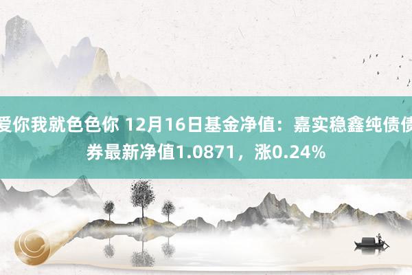 爱你我就色色你 12月16日基金净值：嘉实稳鑫纯债债券最新净值1.0871，涨0.24%