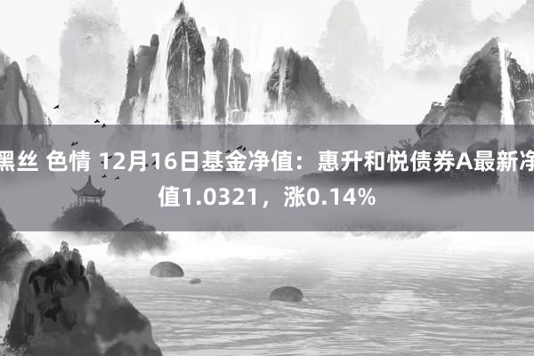 黑丝 色情 12月16日基金净值：惠升和悦债券A最新净值1.0321，涨0.14%