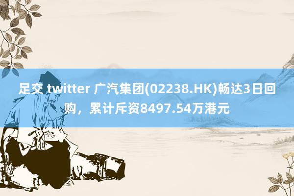 足交 twitter 广汽集团(02238.HK)畅达3日回购，累计斥资8497.54万港元