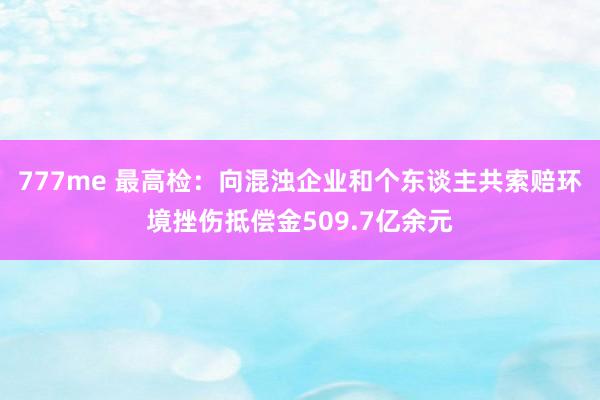 777me 最高检：向混浊企业和个东谈主共索赔环境挫伤抵偿金509.7亿余元