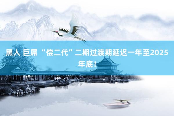 黑人 巨屌 “偿二代”二期过渡期延迟一年至2025年底！