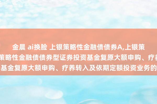 金晨 ai换脸 上银策略性金融债债券A，上银策略性金融债债券C: 上银策略性金融债债券型证券投资基金复原大额申购、疗养转入及依期定额投资业务的公告