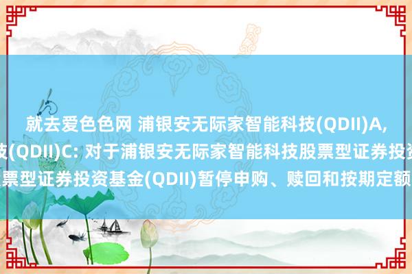 就去爱色色网 浦银安无际家智能科技(QDII)A，浦银安无际家智能科技(QDII)C: 对于浦银安无际家智能科技股票型证券投资基金(QDII)暂停申购、赎回和按期定额投资业务的公告