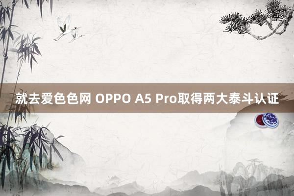 就去爱色色网 OPPO A5 Pro取得两大泰斗认证