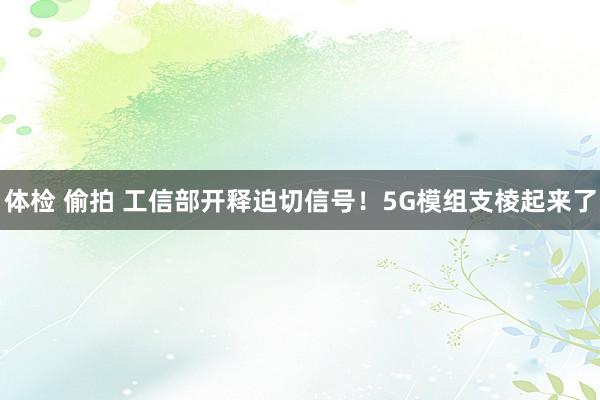 体检 偷拍 工信部开释迫切信号！5G模组支棱起来了