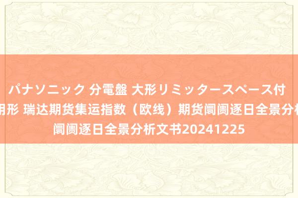 パナソニック 分電盤 大形リミッタースペース付 露出・半埋込両用形 瑞达期货集运指数（欧线）期货阛阓逐日全景分析文书20241225