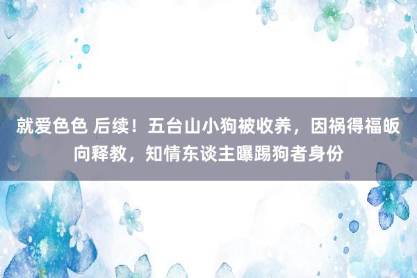 就爱色色 后续！五台山小狗被收养，因祸得福皈向释教，知情东谈主曝踢狗者身份