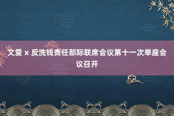 文爱 x 反洗钱责任部际联席会议第十一次举座会议召开