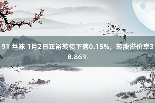 91 丝袜 1月2日正裕转债下落0.15%，转股溢价率38.86%