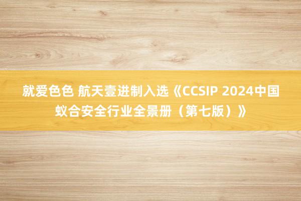 就爱色色 航天壹进制入选《CCSIP 2024中国蚁合安全行业全景册（第七版）》