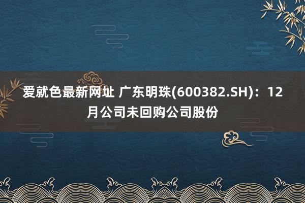 爱就色最新网址 广东明珠(600382.SH)：12月公司未回购公司股份