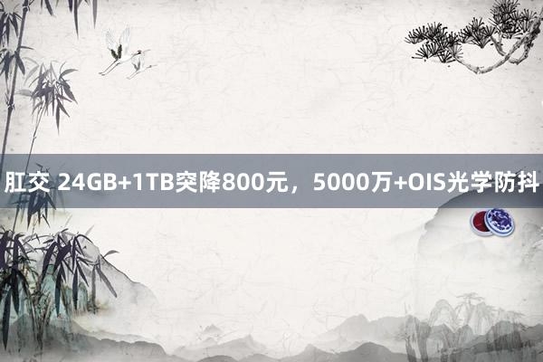 肛交 24GB+1TB突降800元，5000万+OIS光学防抖